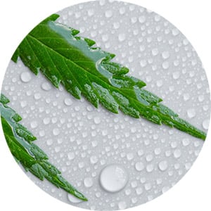 cannabis-Climate-Control-and-Ventilation